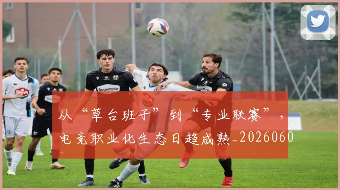 从“草台班子”到“专业联赛”，电竞职业化生态日趋成熟_20260601172919