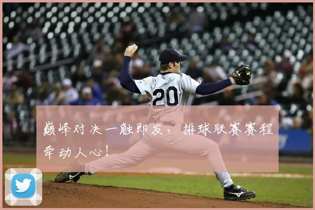 巅峰对决一触即发，排球联赛赛程牵动人心！