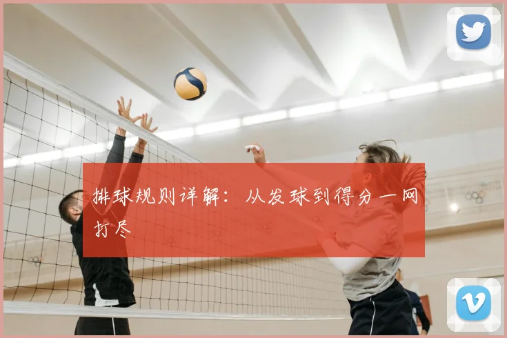 排球规则详解：从发球到得分一网打尽